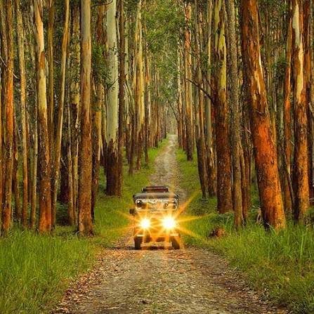 Kerala